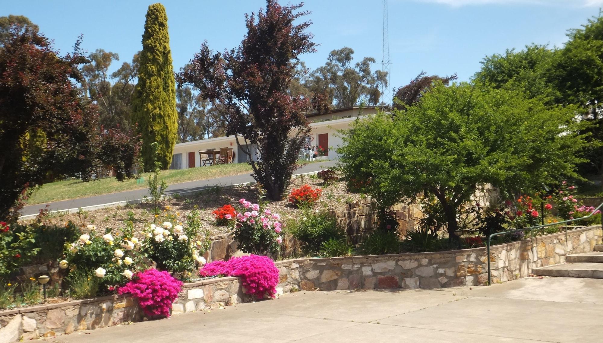 Clare Valley Motel Екстер'єр фото