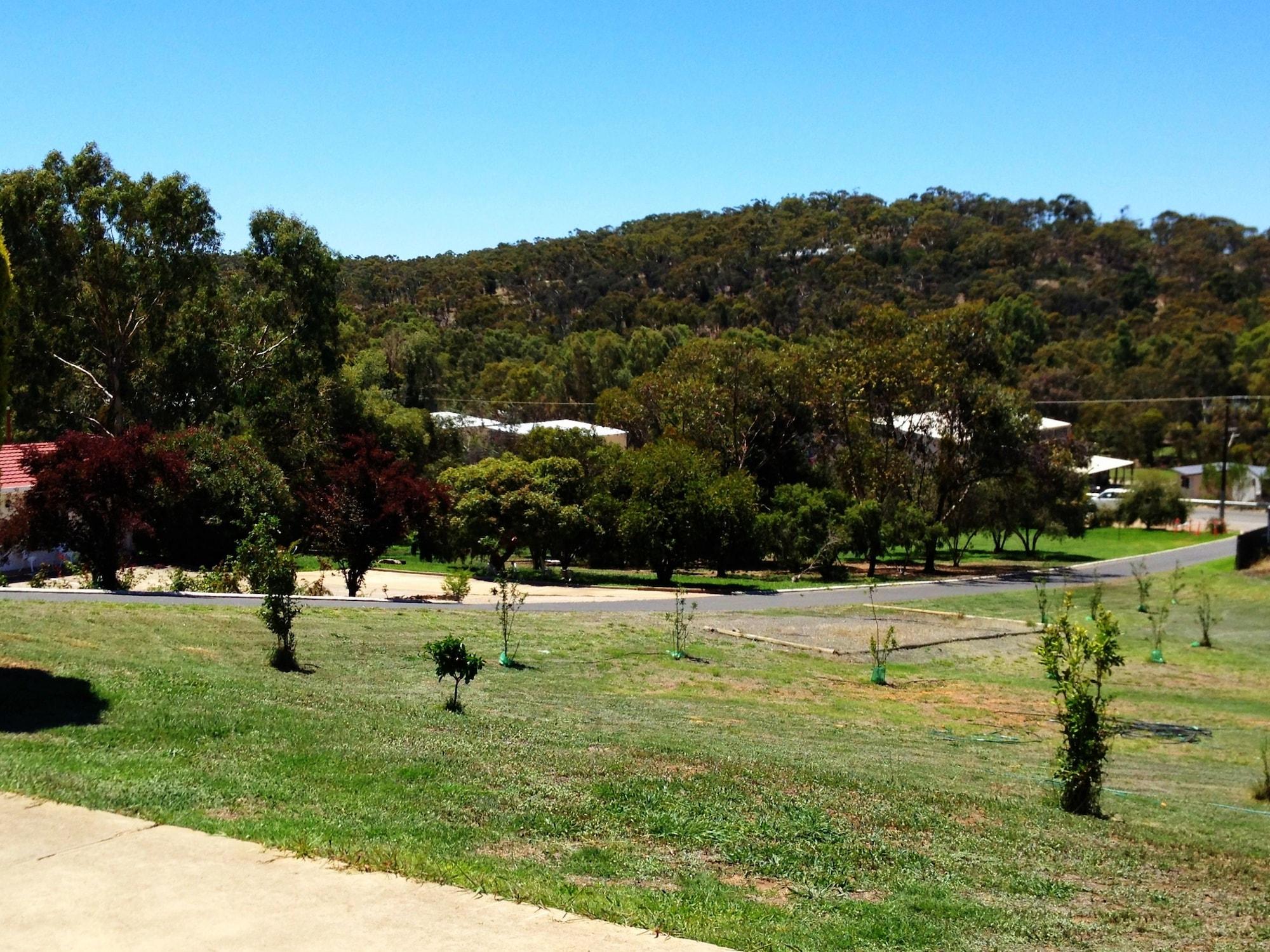 Clare Valley Motel Екстер'єр фото