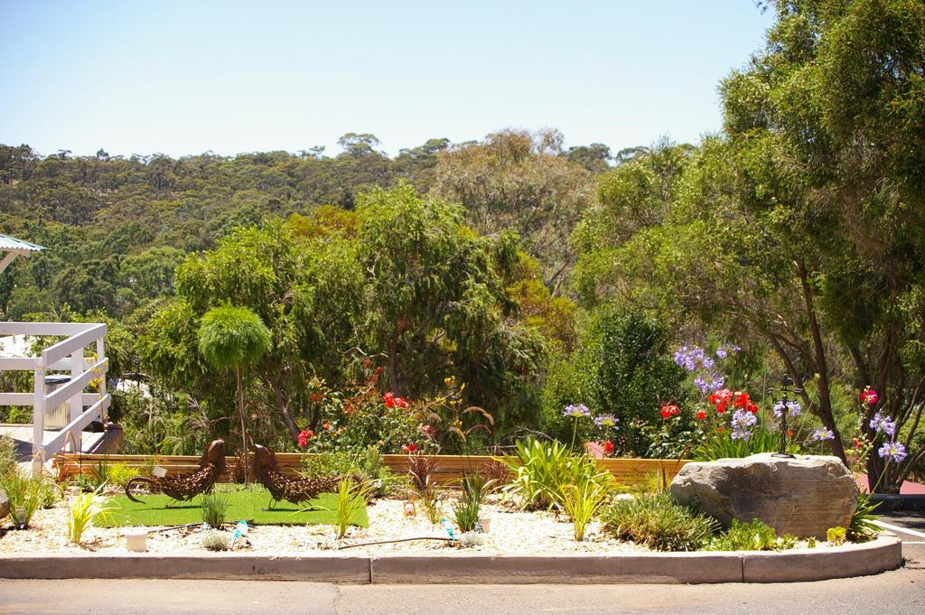 Clare Valley Motel Екстер'єр фото