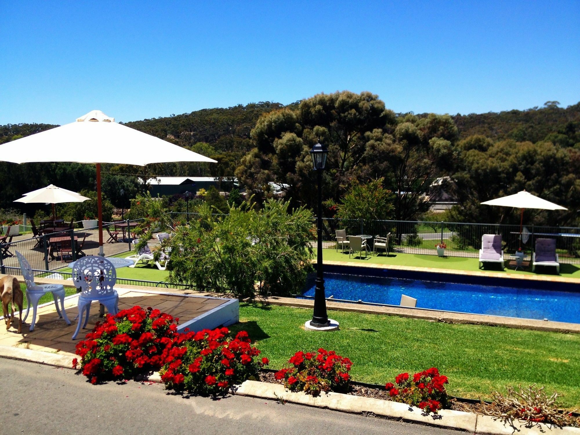Clare Valley Motel Екстер'єр фото