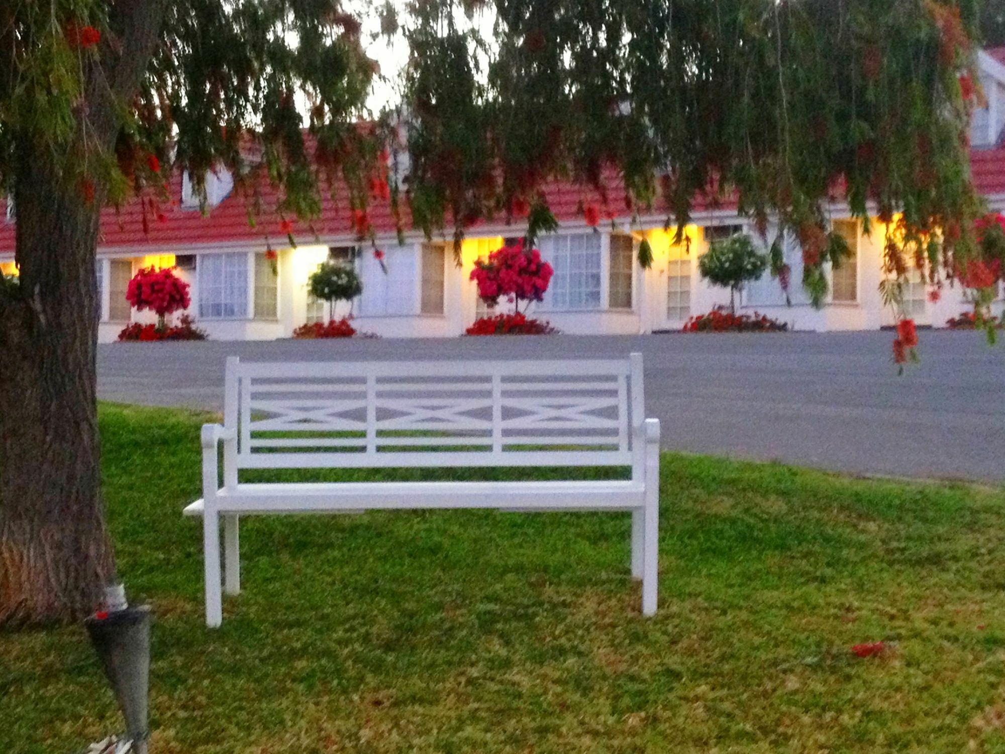 Clare Valley Motel Екстер'єр фото